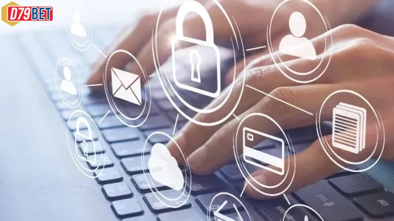 Giao diện trực quan khi xem Điều Kiện Điều Khoản trên website D79bet