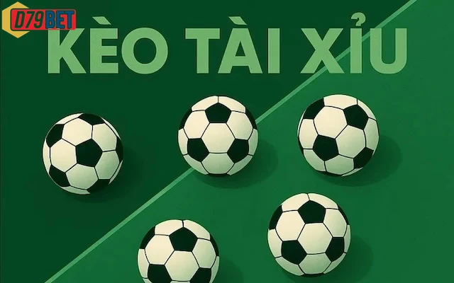 Khuyến mãi hấp dẫn hàng ngày cho thành viên đăng ký mới