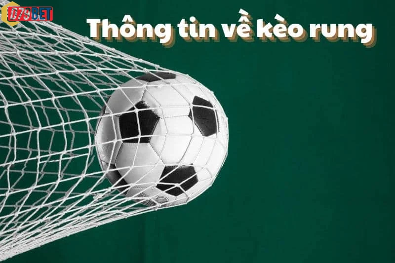 Minh họa chương trình khuyến mãi hấp dẫn dành cho thành viên Kèo Rung D79bet