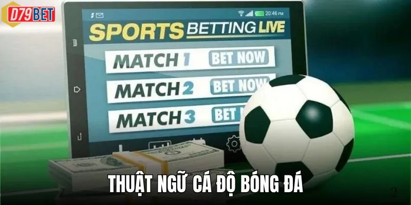 Trải nghiệm thực tế khi sử dụng hệ thống Thuật Ngữ Cá Độ Bóng Đá trên điện thoại thông minh